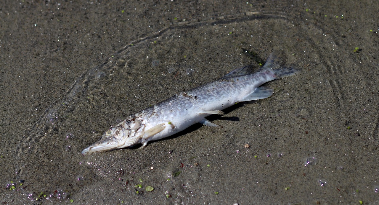 保健師の転職で年収をアップさせるためのポイントは？