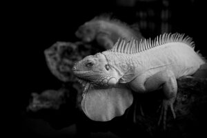 オンコール手当はどのように計算されるのか？