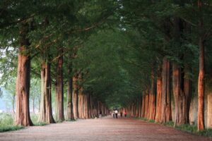 年収に関する質問の答え方はどうすればいい？