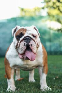 医療英語を効果的に学習する方法は？